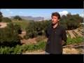 Sustainable Vine Wine Tour