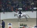 hermes authieux beligneux haras jumping etalon