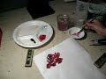 Paint rose 2, flowers Paint rose 2, flowers