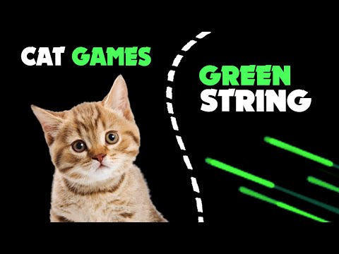 Green STRING STRING thing for cats | Cat Games on the screen