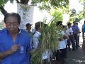 rice harvest festival 2008 by uncle organics corporation
