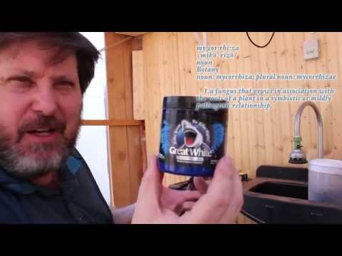 how to fertilize self watering containers