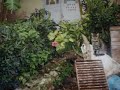 �l� silm� pieni katso minne vain
