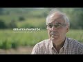 Ajustes de cosecha / Heredad Segura Viudas