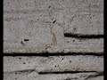 3d bulb and lights  -  Animation test