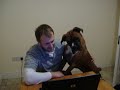 Al cachorro le gusta ver vídeos en internet