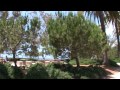 Contact Video