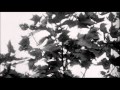 David Lynch - Good Day Today