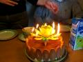 videos de 013