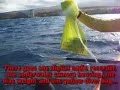 WHALE SONGS MAUI (Dedicated to The Mississauga News)