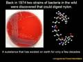 How Evolution Causes an Increase in Information, Part I