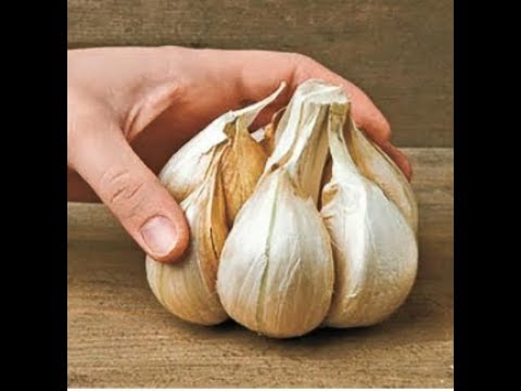 how to replant garlic