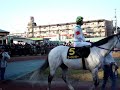 2007　名古屋グランプリ（Jpn2）　名古屋競馬場