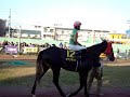 2007　名古屋グランプリ（Jpn2）　名古屋競馬場