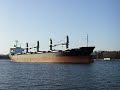 SARANYA NAREE IMO-9020065 Bulker - Bulk Carrier - Massengutfrachter