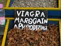 Bizarreries marocaines