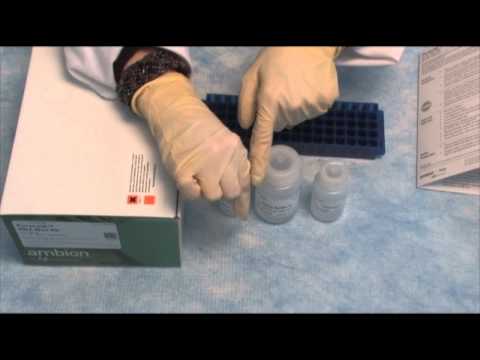 how to isolate rna from blood