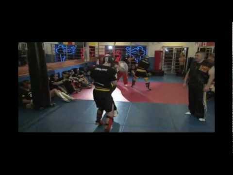 Lions Fight
