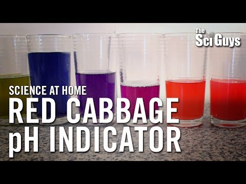 how to test ph of lemon