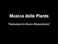 Musica delle Piante