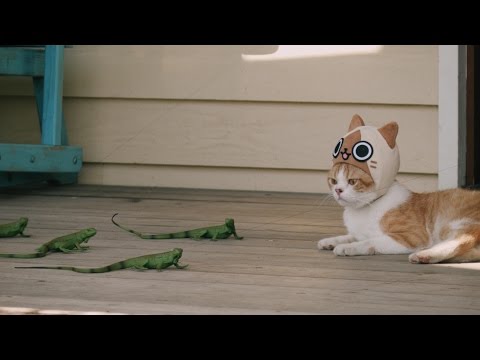 Play YouTube video