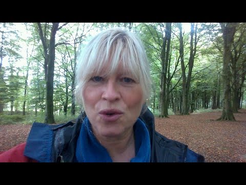 how to collect acorns