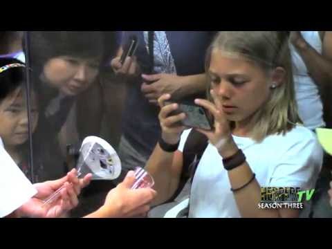 YouTube reptile video