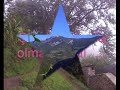 ARAKLI ERENLER  (C?MLA) �UHUR EZEK TEP YAPRAKLI YAYLASI