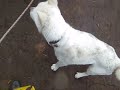 Click here to watch this video 雨の惨めな運動場