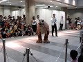 dinosaur robot