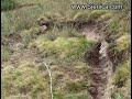 Klistize U Ursulama 2 (dan Posle) - Www.sjenica.com