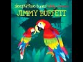Jimmy Buffett - Margaritaville (Lullaby Tribute)