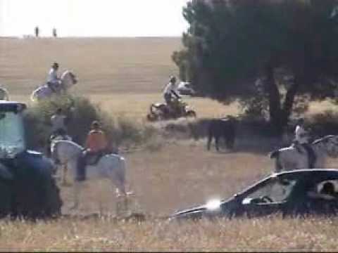 Imagen de previsualización de YouTube