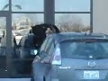 Hitchhike Panther Vol. 1 Hitchhike Panther Vol. 1