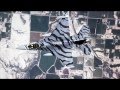 USAF