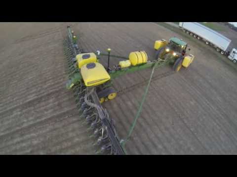 how to grow sugar beets