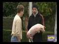 The piggy delivery express- Joking around