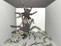 Realtime Procedurally Animated Spiders