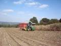 videos de ensilage egide london (cher van sheik)