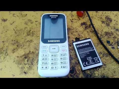 Samsung Guru Software