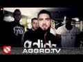 Gecko Intro Official Music Video and Lyrics