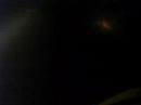 Night Dive - Clifton Gardens