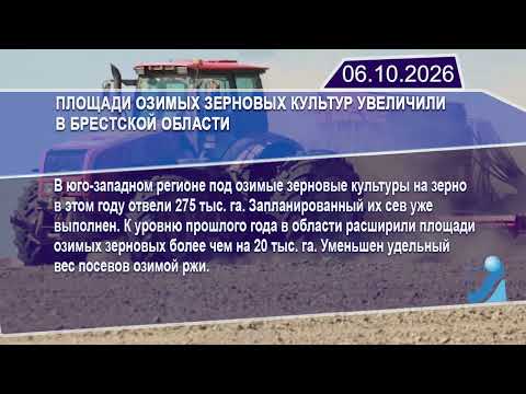 Новостная лента Телеканала Интекс 06.10.26.