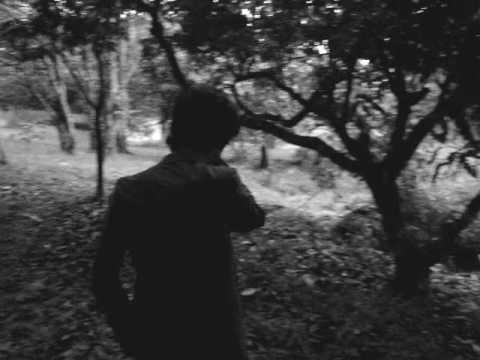 Imagem de Amostra do You Tube