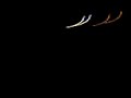 Some UFO Footage that My Wife & I Caught On Tape n AZ Desert Some UFO Footage that My Wife & I Caught On Tape n AZ Desert