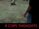 Knox County officers tazing