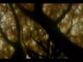 videos de Upon My Hands