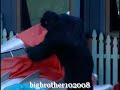 BB 10 Gorilla And Other Clues