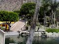 The Phoenician