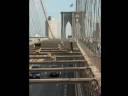 New York New York